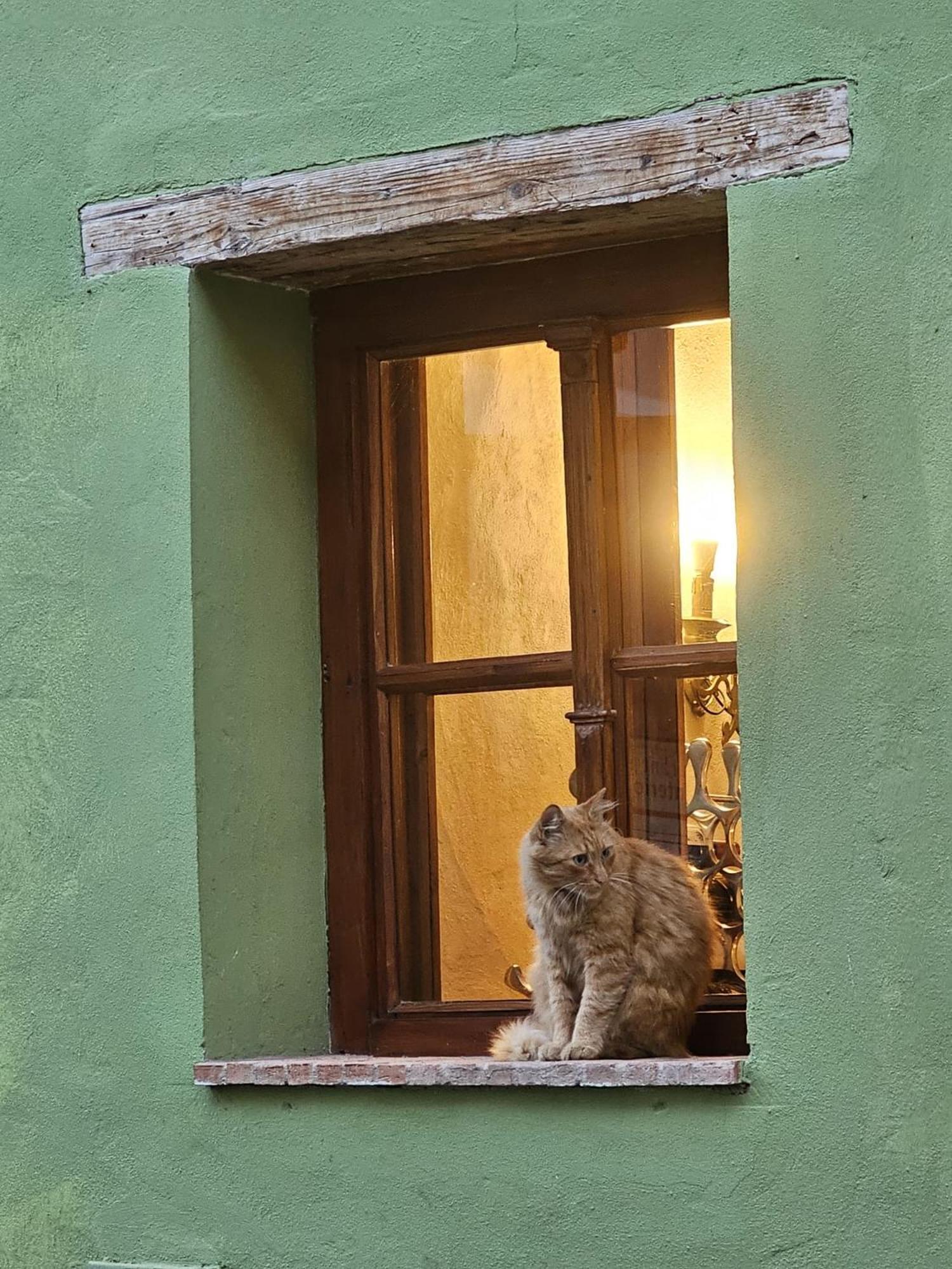 The Throne - M Museum Hotel Sighisoara Exterior photo